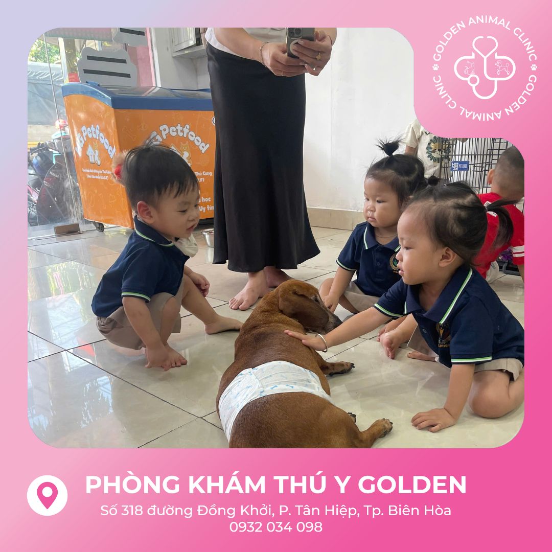 2025 - Khởi Nguồn Yêu Thương