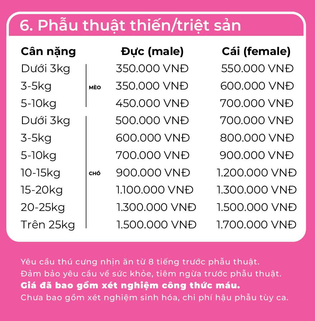 Mô tả ảnh