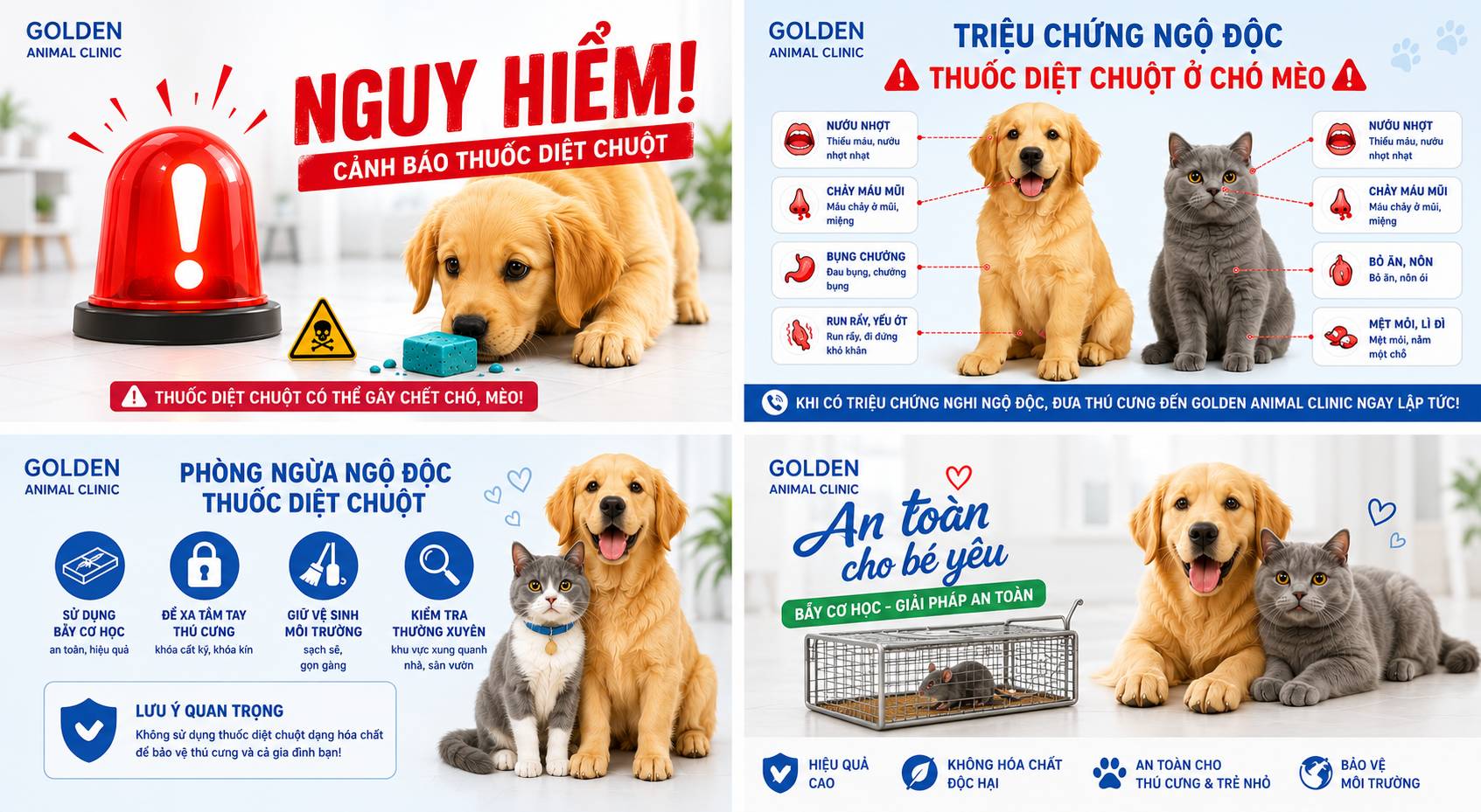 Mô tả ảnh